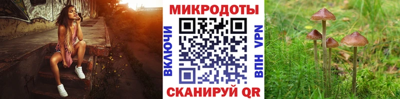 гидра ссылка  Керчь  Псилоцибиновые грибы Psilocybe 