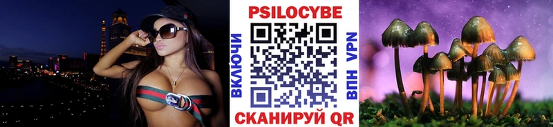 Псилоцибиновые грибы Cubensis Керчь